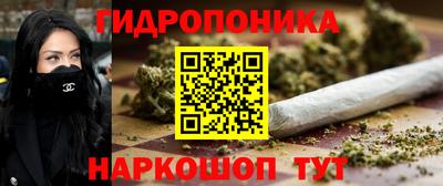 дживик Ставрополь
