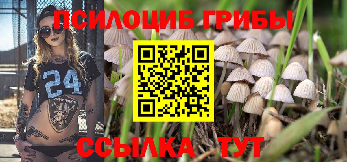 Галлюциногенные грибы GOLDEN TEACHER  Вход с VPN  Урай  Псилоцибиновые грибы Psilocybine cubensis 