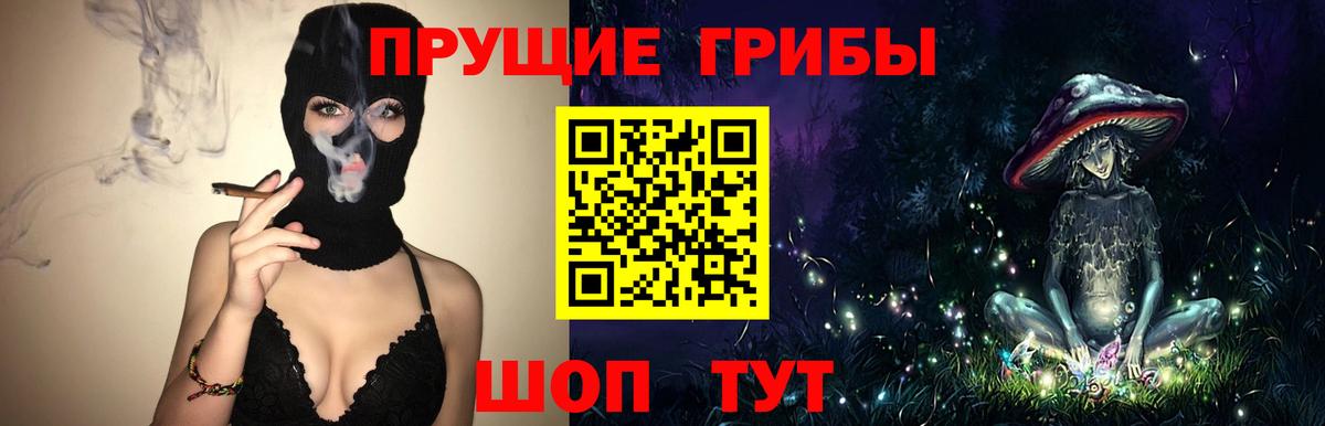 Псилоцибиновые грибы Psilocybe Урай